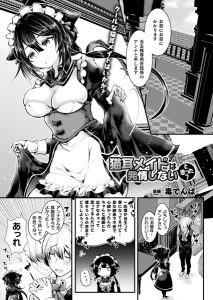 毒でんぱ「猫耳メイドは発情しないと思った？」の表紙