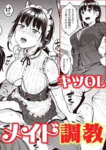 さじぺん「淫べいだー」の表紙