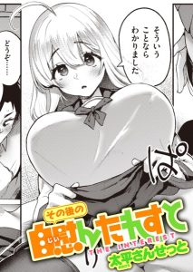 太平さんせっと「その後の自慰んたれすと」の表紙