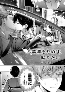 よしとら「八羊澤あやめは縋りたい」の表紙