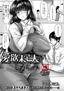 ナスムスビム「愛欲未亡人のしがらみ」の表紙